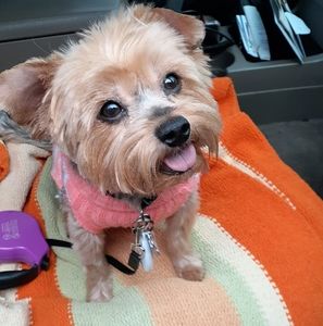 Meet your Posher, Rochelle